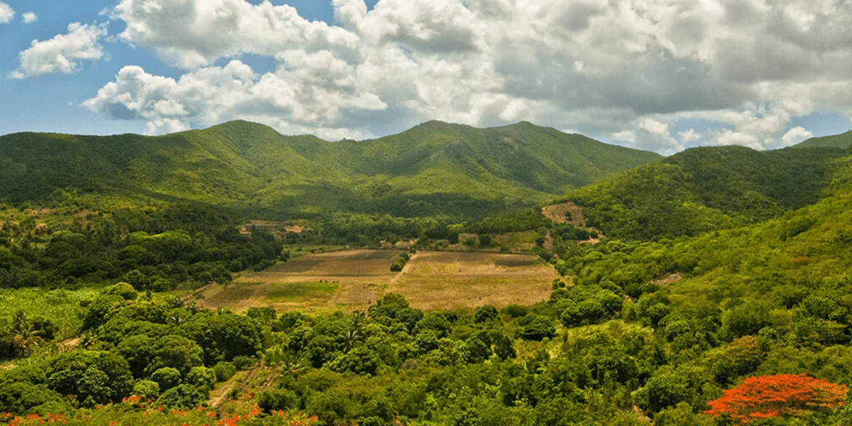 Antigua 4-min.webp